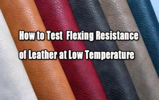 Cover of post on low temperature leather flexing test chamber