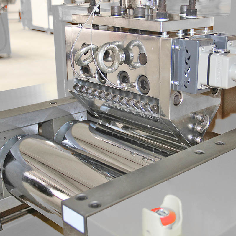 extrusion die of film casting machine